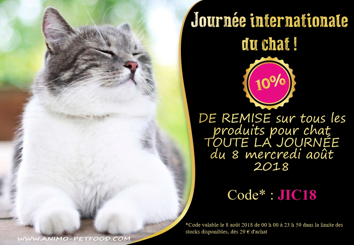 journée internationale du chat